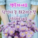 이런 정보/ 당신의 생각은? 이미지