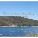 백송식당 이미지