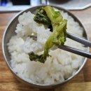 전하동 맛집] 무연식당 : 요즘 물가 맞나요? 단돈 9천 원에 즐기는 시골 할머니 손맛 제육볶음 백반 후기