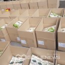 성정초등학교 이미지