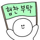 인디아나캠핑