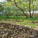 만금농장 이미지