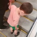 엔씨서면크록스