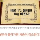 확빼체온다이어트
