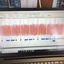 영창카서비스 이미지