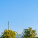 금호계절맛집 이미지