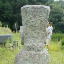 진화 묘 이미지