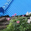 후기 4-4: 2025.05.22 [서해랑길 이어걷기 최종회] 서해랑길 해남 역1코스 송지면사무소~땅끝탑 이미지