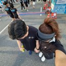 (주)라인에너지 고양 | 서울 하프마라톤 2025 고양 하프마라톤 10km 참가비 기념품 코스 비교