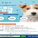 댕댕이