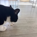 멍꾸기상점 이미지