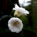 한물결의원 이미지