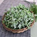 자연대로4 이미지