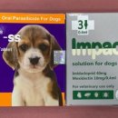 사당동물약국 이미지