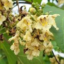 영상테마파크&청와대세트장 이미지