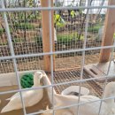 복덕농장 이미지