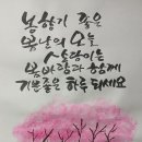 조류 이름 초성 퀴즈 이미지