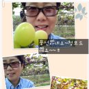 준선