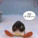 정상농장 이미지