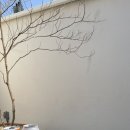 먼데이오프플리즈