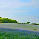 연식목장 이미지