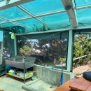 해광민박 | [강원도/강릉] 순포해변 앞 술꾼도시여자들, 선재업고튀어 촬영지 바다민박 현실 술도녀들 찐후기