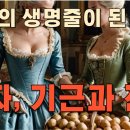 감자혁명