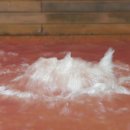 약암홍염천관광호텔 이미지