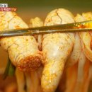 촌집칼국수 이미지