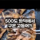 어화보 네이버블로그