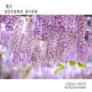 대구상인초등학교 이미지