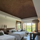 스윗짐 | 칸쿤 신혼여행 스칼렛아르떼 스윗가든 일반동 4박 후기 꿀팁