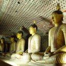 (주)부산골프여행사 이미지