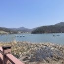 백운호수 주차장 이미지