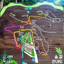 나로우주센터 & 팔영산 편백 치유의숲 투어 이미지