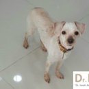 지누동물병원 이미지