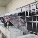 청계유통 이미지