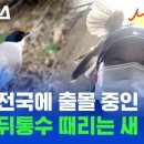 사람 그리고 새 이미지