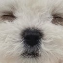 인마이포토 이미지