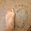 장동감나무보리밥 | 계족산 황톳길 1코스, 장동감나무보리밥집 청국장