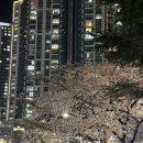 오투정거장 | 부산대 야장 맛집 오투정거장 분위기 미친 술집