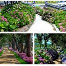 신월우리약국 이미지