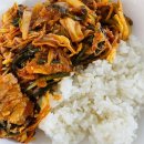 미스터샤크 유도멀티짐 | 많이 먹고 운동하고 아프고 생각하는 일주일 🪼🪽