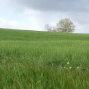 산솔마을 이미지