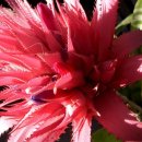 저스트고 이미지