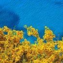 서울삼성초등학교 이미지