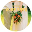 트레져드레옹