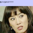 막창드라마 이미지