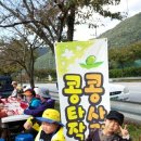 햇빛여행사