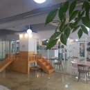 러블리독 이미지